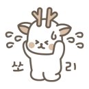 꼬꼬마 강아지 이미지