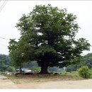 수락영당 이미지