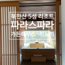 파라스파라 서울 이미지