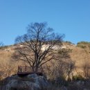 송촌목장 이미지