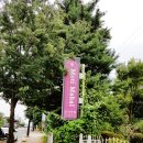 유달스 네이버블로그