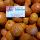 한국외발자전거 이미지