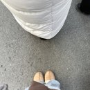 카페 로얄마카롱 신사역점