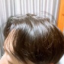 올리브영 세일 다슈 데일리 볼륨픽 스프레이 기획세트 내돈내산 후기