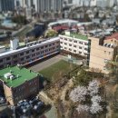 성광학교 이미지