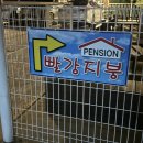 빨강지붕펜션 이미지