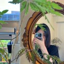 덕충 아구찜 식당 이미지