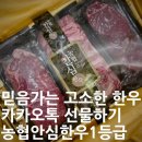 농협안심한우 1등급 &lt;&lt;카카오톡 선물하기 ‘육즙 고소함 가득 소고기 파티’ 믿음가는 농협 한우&gt;&gt;