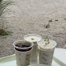 수수밀소