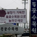 들꽃수목원 이미지