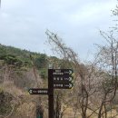 산수곡경로당 | [부산/기장] 기어서 내려온 등린이의 '달음산' 등산 코스(옥정사 원점회귀)