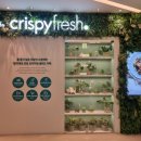 (서초구/방배) 건강한 한끼 &amp;혼밥 하기 좋은 샐러드카페 추천 &#39;크리스피프레시(Crispyfresh) 파스텔시티점&#39;