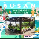 (주)부산데이케어 부산주간보호 이미지