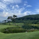 노스팜CC 네이버블로그