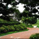 비단금 농장 이미지