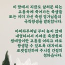 살처분 축생영가님들을 위해 염불 부탁드립니다. 이미지