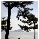 율포해수욕장 이미지