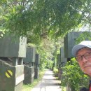 호황농장 이미지