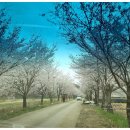 장바우식당 이미지