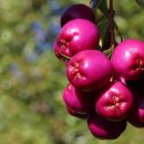 헬씨라이프 이미지