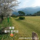 늘봄봄봄