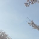 에어컨청소 엄마가간다