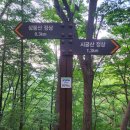 목천 마을쉼터 CCTV | 어쩌다 미니환종주가 되버린 용인 시궁산 백패킹^^ 등산로입구 묵리마트 꼭 주소로 네비에 입력하시길~