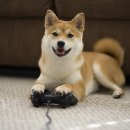 몽글몽글 이미지