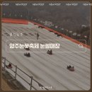 양주로 | [경기/양주] 양주 눈꽃축제 눈썰매장 후기/ 할인/ 주차