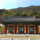 금산 충청타임즈