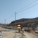 돌풍목장 | 공주 아이랑 가볼만한곳, 이색 체험 승마장 주말 나들이