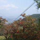 청도주유소 이미지