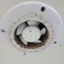 도화동쉼터 이미지