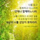 나선장 이미지