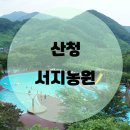 서지농원 이미지
