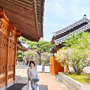 260412 #2 남산 벚꽃 엔딩 (성철작가님) 이미지