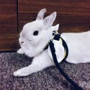 공존의 행복 이미지