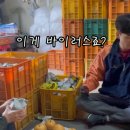 장터농장 이미지