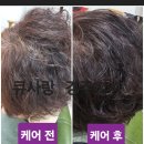 사랑 미용실 네이버블로그