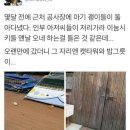 공사장에 고양이가 돌아다녀서 화가난 아저씨들 이미지