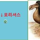 새(鳥類)에 얽힌 재미있는 이야기＜1＞ 이미지