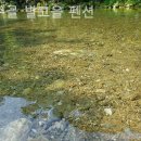 산들자동차정비 이미지