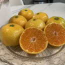 박달농장 이미지