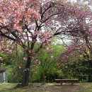 성산패총로-1 이미지