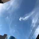 육해공전 포차푸드 | ~ 8/13