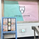 [서부] 수채일러스트(2025) | 건대 카페 냥토피아 방문후기 계속 생각나는 건대 이색카페