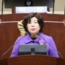 서원동-48 시정일보