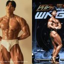 젤미수입