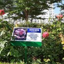 구목정공원 이미지