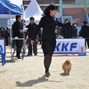 이천공설운동장 이미지